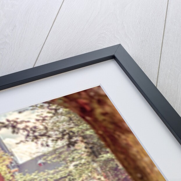 City street, Amsterdam by Assaf Frank